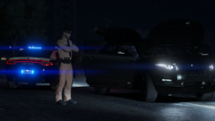 FHP O/S of Stolen Car