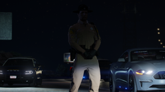 FHP Trooper Nighttime
