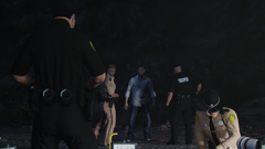 FHP O/S of Ped vs. Vehicle