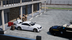 FHP Domestic Dispute