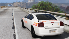 2010 GSP Charger Christmas Tree 2