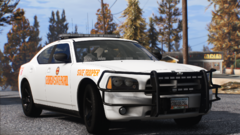 2010 GSP Charger Christmas Tree 3