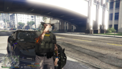 Grand Theft Auto V 5_2_2024 4_47_58 PM.png
