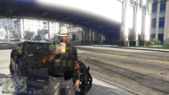 Grand Theft Auto V 5_2_2024 4_48_00 PM.png