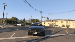 assistance from del perro.png