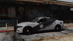 AZDPS - 2019 Charger (1)