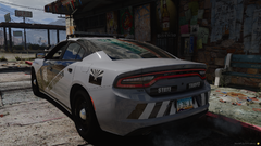 AZDPS 19 Charger (2)