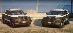 Hawthorne pd 2020 FPIUs
