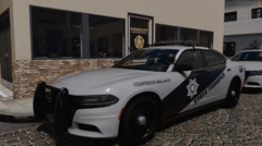 AZDPS 19 Chargers (2)