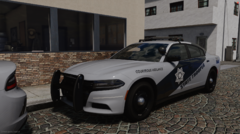 AZDPS 19 Chargers (3)