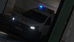 Dacia Dokker Politia Canina