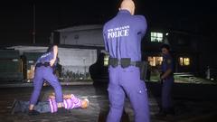 Grand Theft Auto V Screenshot 2024.06.18 - 23.31.41.15.png