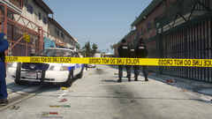 Grand Theft Auto V Screenshot 2024.06.26 - 12.29.30.18.png