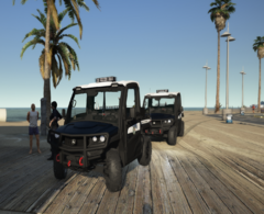 New Beach UTV