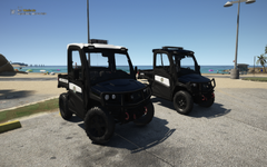 UTV Divison LSPD Beach Patrol Unit