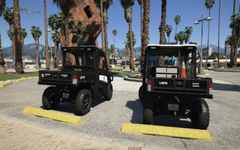 UTV Divison LSPD Beach Patrol Unit