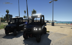 UTV Divison LSPD Beach Patrol Unit