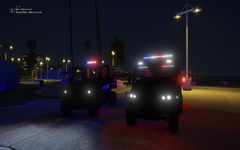 UTV Divison LSPD Beach Patrol Unit