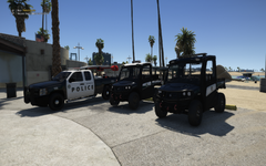 Beach Division Patrol units