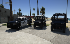 Beach Division Patrol units