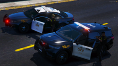 Ontario Provincial Police Conduct High Risk Stop