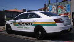 2019 FPIS Osceola FL Sheriff 2