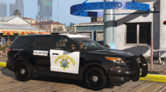 CHP 2015 Volunteer FPIU