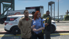 Grand Theft Auto V Screenshot 2024.08.17 - 08.50.41.74.png