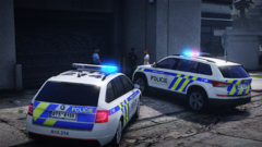 Officers responding to disorderly conduct