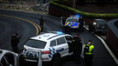 Arrest of a supect after a long chase