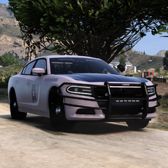 ALEA - PHONE PIC 1.png