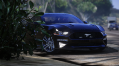 aerie_19stang1