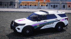 Charlotte County Sheriff 2021 FPIU DVA (1)
