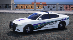 Flagler County Sheriff 2018 Charger DVA (1)