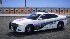 Flagler County Sheriff 2018 Charger BCA (1)