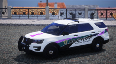 Charlotte County Sheriff 2018 FPIU BCA (1)