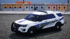 Charlotte County Sheriff 2018 FPIU DVA (1)