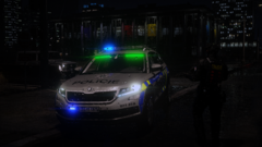 Active shooter response