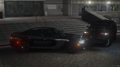 HCSO1.png
