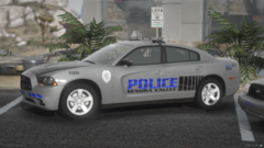SVPD2.png