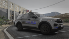 SVPD3.png