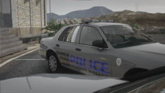 SVPD4.png