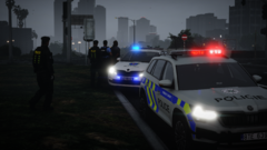 Collaboration with Customs on a traffic stop