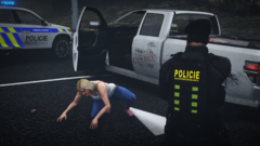 Arrest of a fleeing suspect