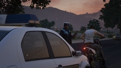 Traffic Stop