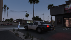 Grand Theft Auto V Screenshot 2024.12.05 - 23.34.31.19.png