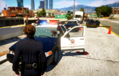 Never steal a Cop car kids...