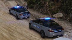 Vehicular Manslaughter