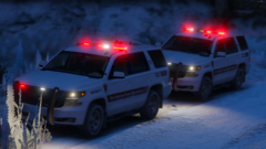 Forest Fire Control Units