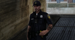LCPD10.png